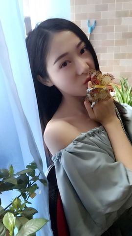 狐狸讨米去了主播照片