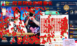 梨花不再期待主播照片