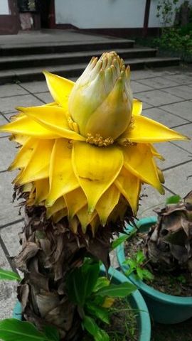 ♬默默✨小蛮宝☞🌜主播照片