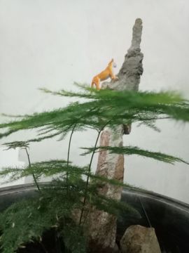 bai晓林主播照片