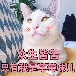 梨九哥哥