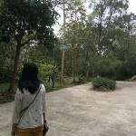 幸福人生遍地跑海报