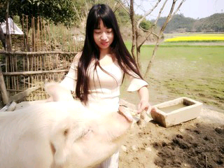 ，寧靜致遠的主播照片