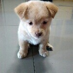 .3qo的头像