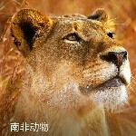 我❤心依旧