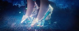 玫瑰花4113025主播照片