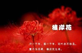 活☞着主播照片