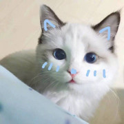 宜兴林宥嘉