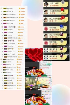 海鸽晚上见主播照片