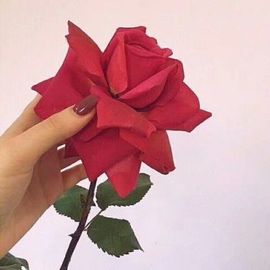 吻吻💋主播照片