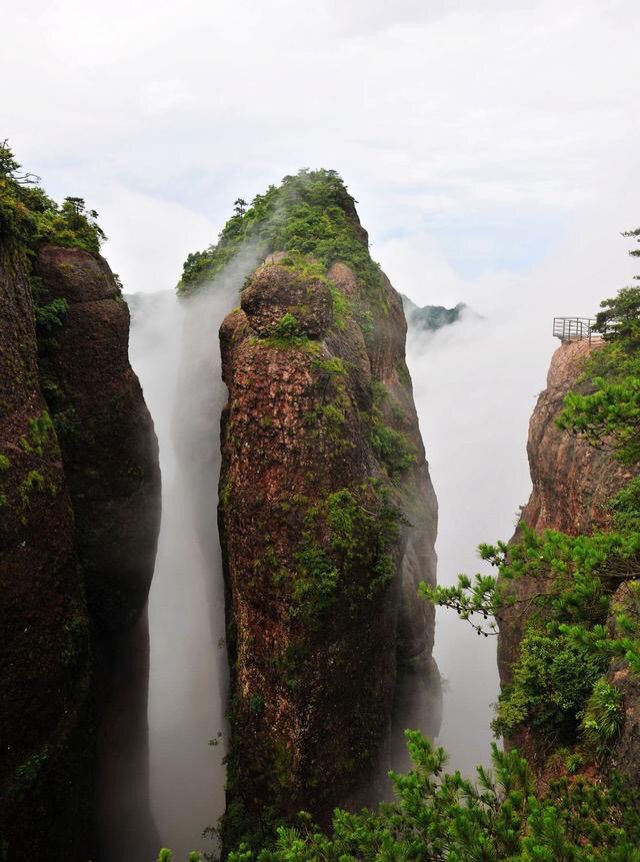 荒野独居的主播照片