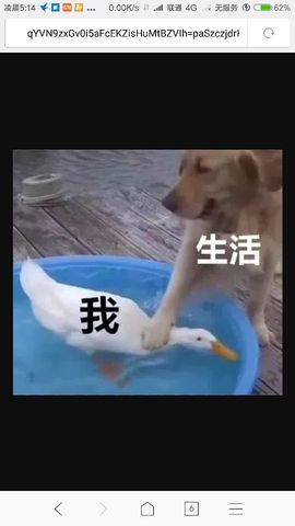 勇⑦气主播照片