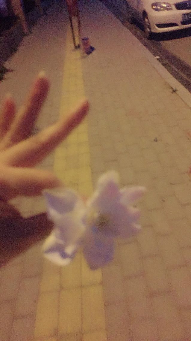 ︶🌸藌兒ღ的主播照片