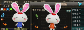 权权好主播照片