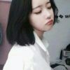 你的七宝