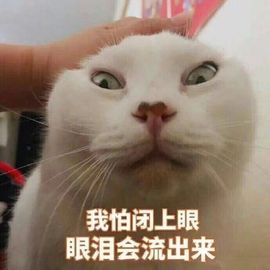 小小休息了主播照片