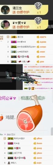 海鸽晚上见主播照片