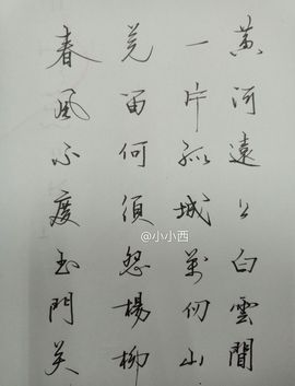 小小西521主播照片