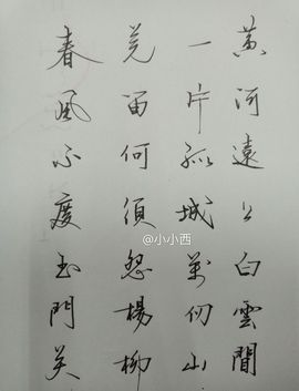 小小西~歌舞全能主播照片