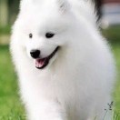 清风起帆