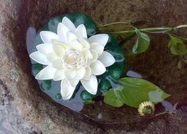 勇⑦气主播照片
