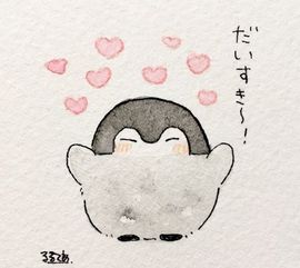 企鹅不恋花主播照片