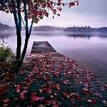 那年花开……海报