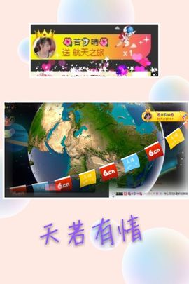 海鸽晚上见主播照片