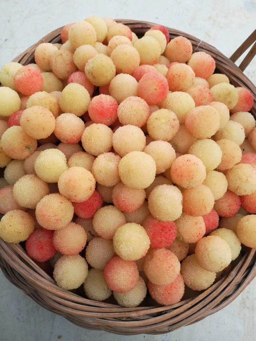雅雅“@的主播照片