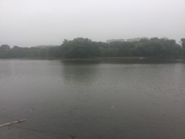 白眼猪😌漠漠陪伴主播照片