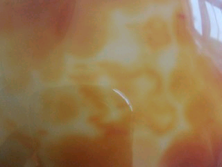 路痴九禅的主播照片