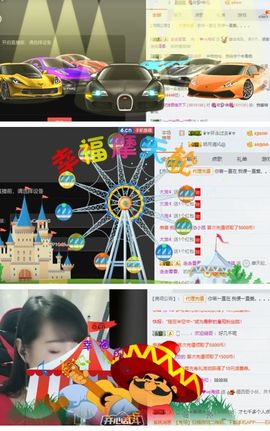 海鸽晚上见主播照片