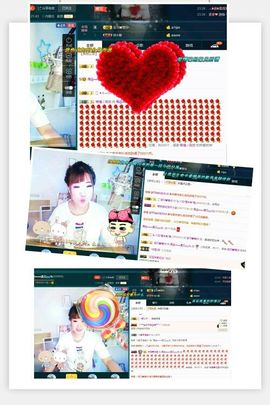 一只雁~主播照片