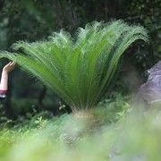 军训过来找你海报
