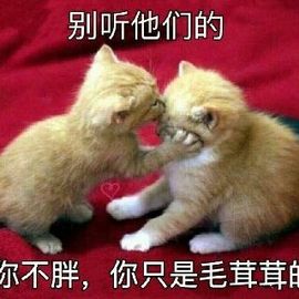 上九天揽月～主播照片