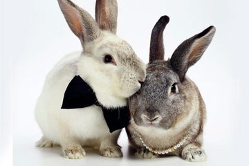 ✨baby🌙的主播照片