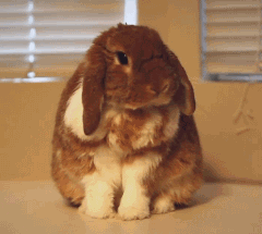 ✨baby🌙的主播照片