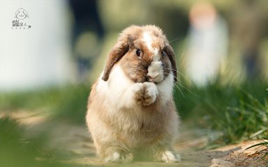 ✨baby🌙的主播照片