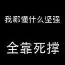 《最美遇见你》的头像
