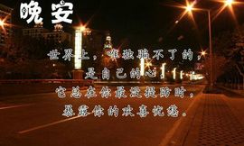一只雁~主播照片