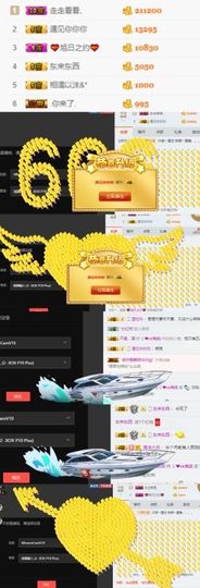海鸽晚上见主播照片