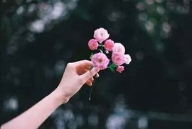 ◆◇の沫沫守候﹎主播照片