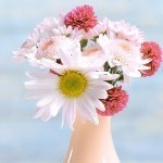 hello_me
