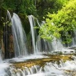 凉风轻轻吹🌱️