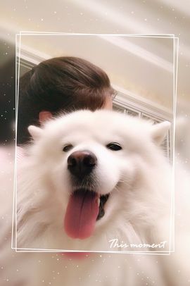 ⊱西木❤纳美⊰主播照片