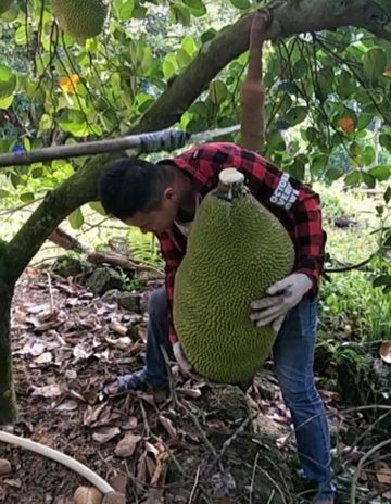 淡看浮華彩云煙的主播照片