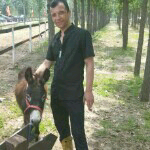 1527863095的主播照片