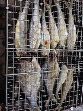 『迷糊』主播照片