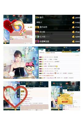 一只雁~主播照片