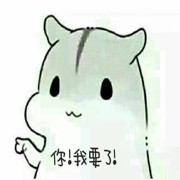 你是本王皇后海报